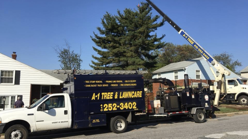 A-1 Tree & Mulch
