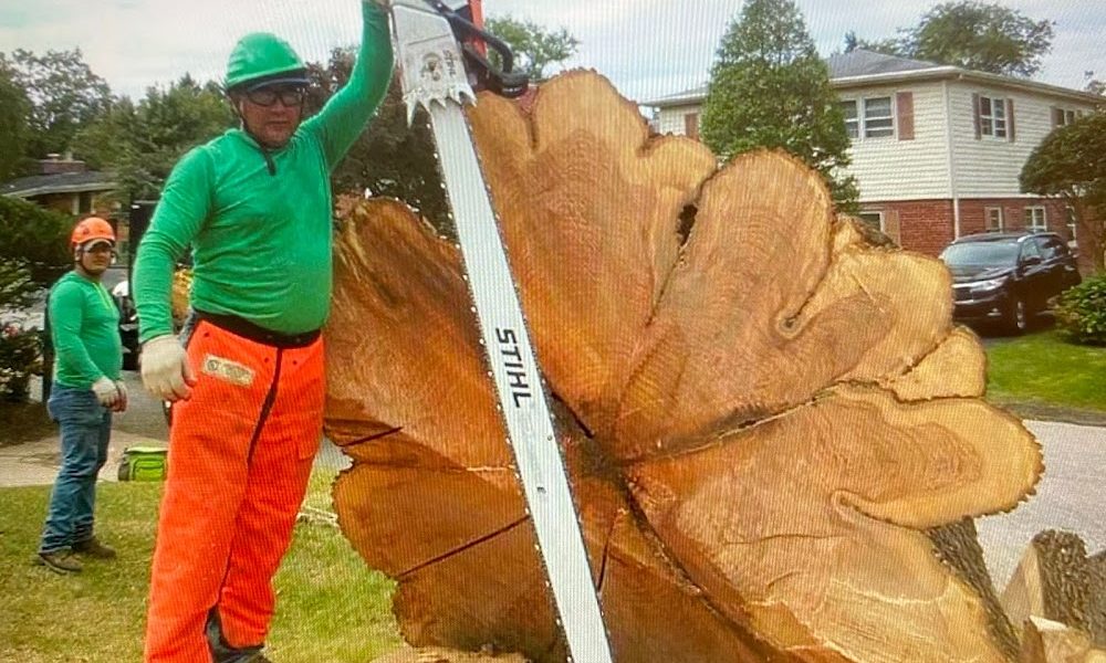 A-AAA Tree Service