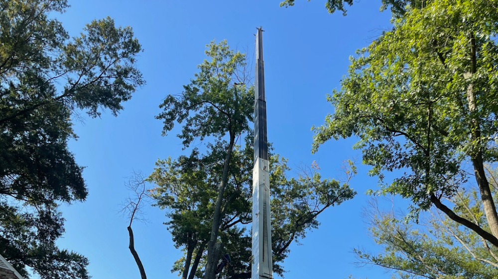 Absolute Tree Inc