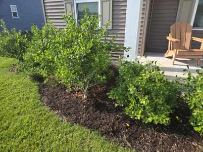 Ace Handyman Services Seaford Rehoboth