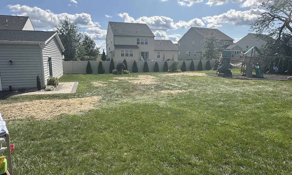 Allen & Sons Tree Service Inc