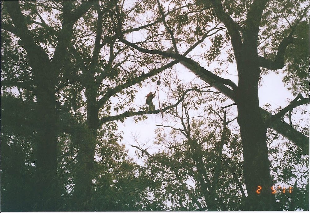 Arundel Tree Service