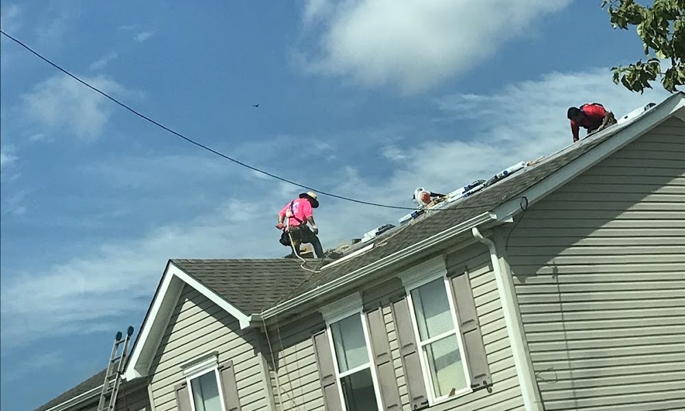 Bayside Roofing