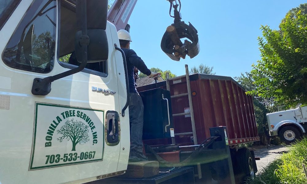 Bonilla Tree Service Inc.