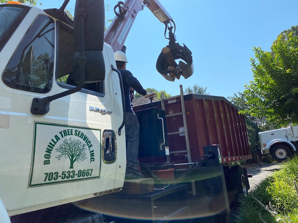 Bonilla Tree Service Inc.