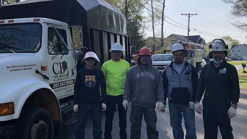 C&B Landscaping & Tree Service