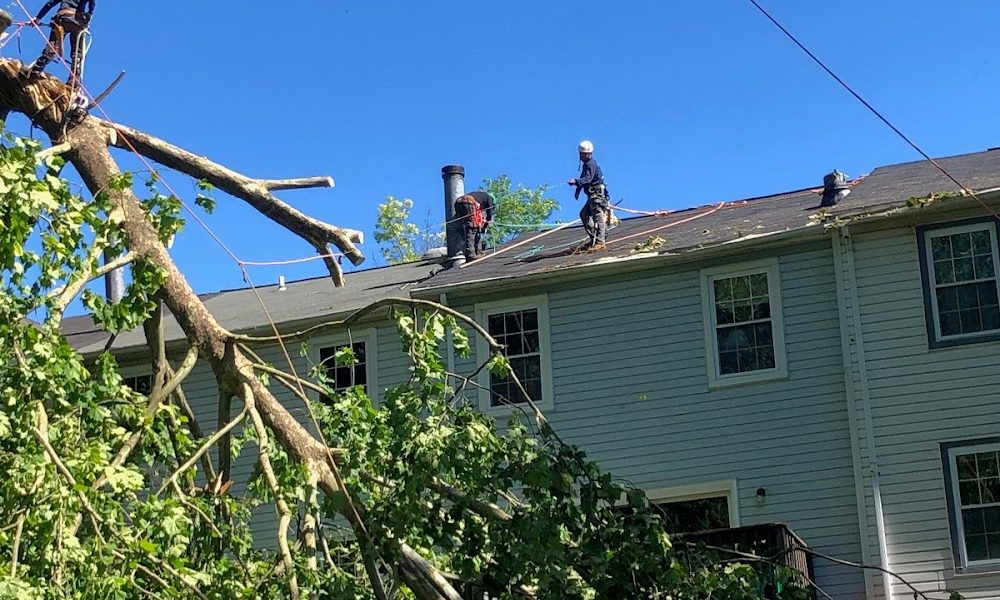 Cutting Edge Tree Experts LLC