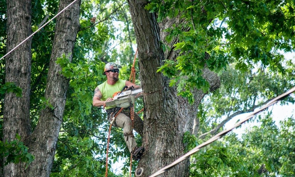 Dubois Tree Service, Inc