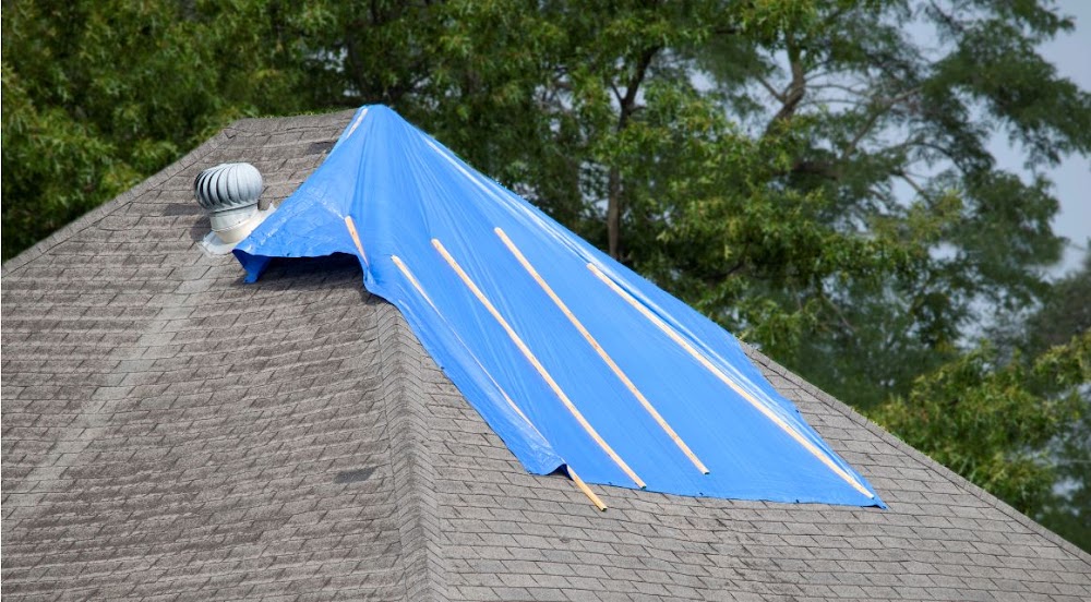 ECOS Environmental & Disaster Restoration, Inc.