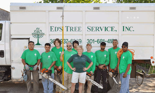 Ed’s Tree Service