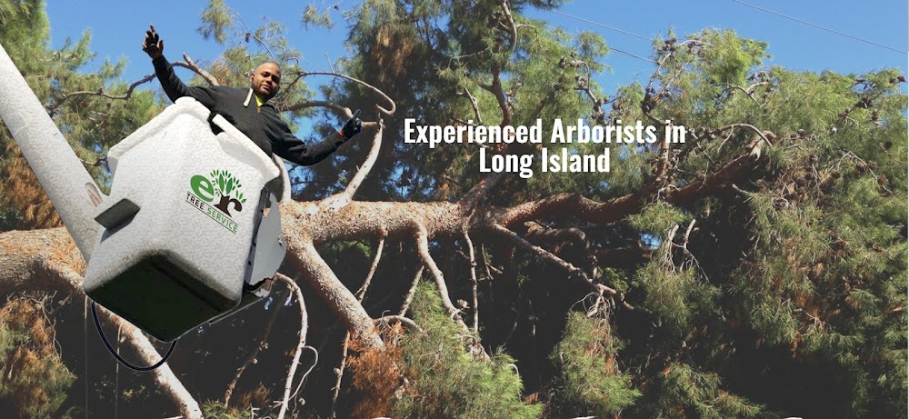 ER TREE SERVICE LLC