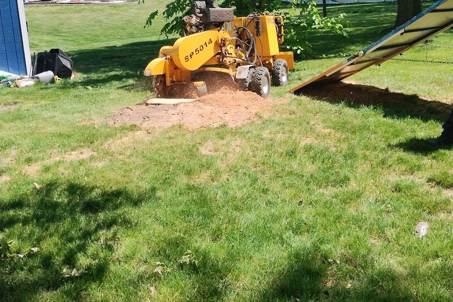 Firewood Unlimited Tree Service, Landscaping