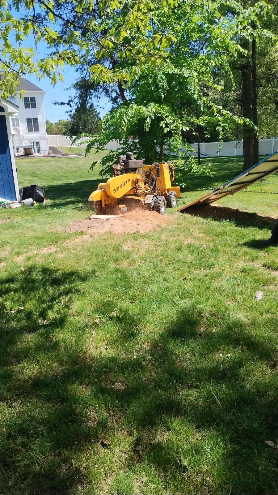 Firewood Unlimited Tree Service, Landscaping