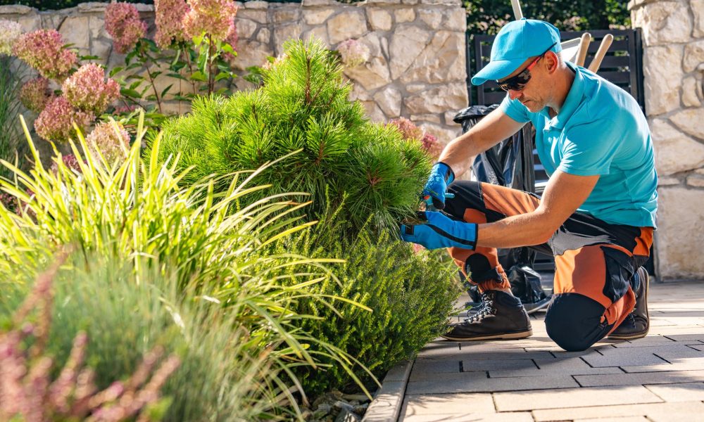 Spring Yard Prep