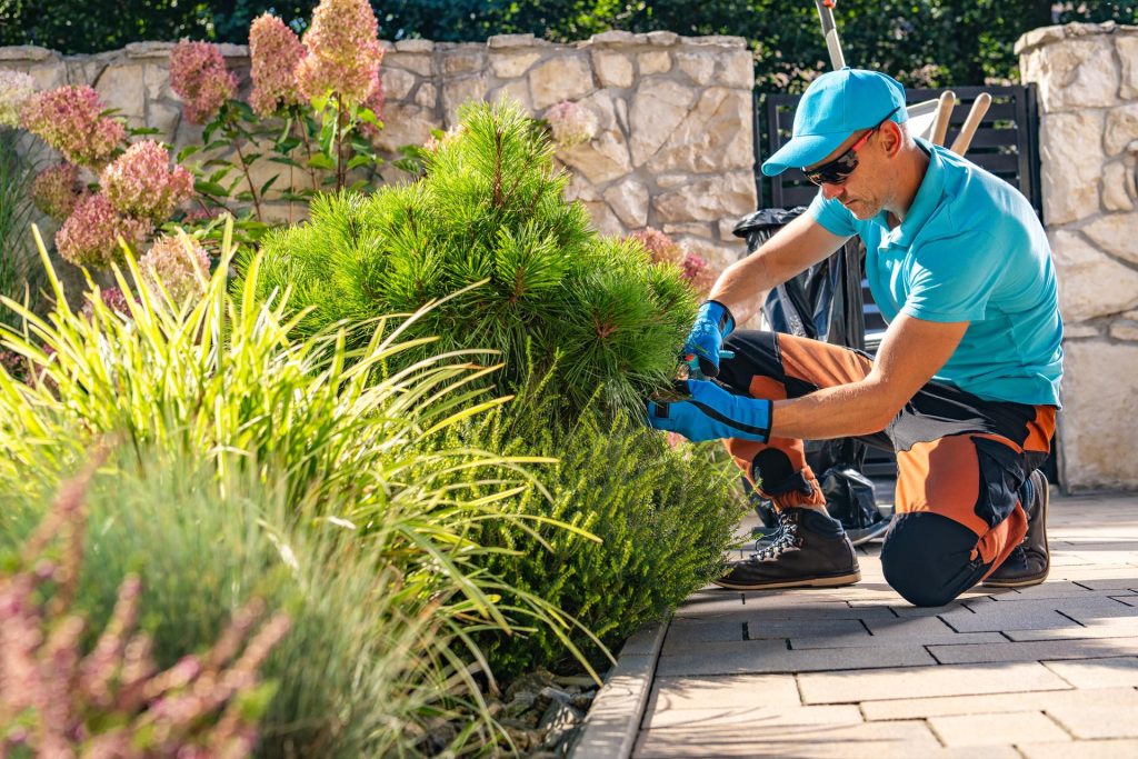 Spring Yard Prep: 5 Expert Tips to Get Your Yard Ready for Spring