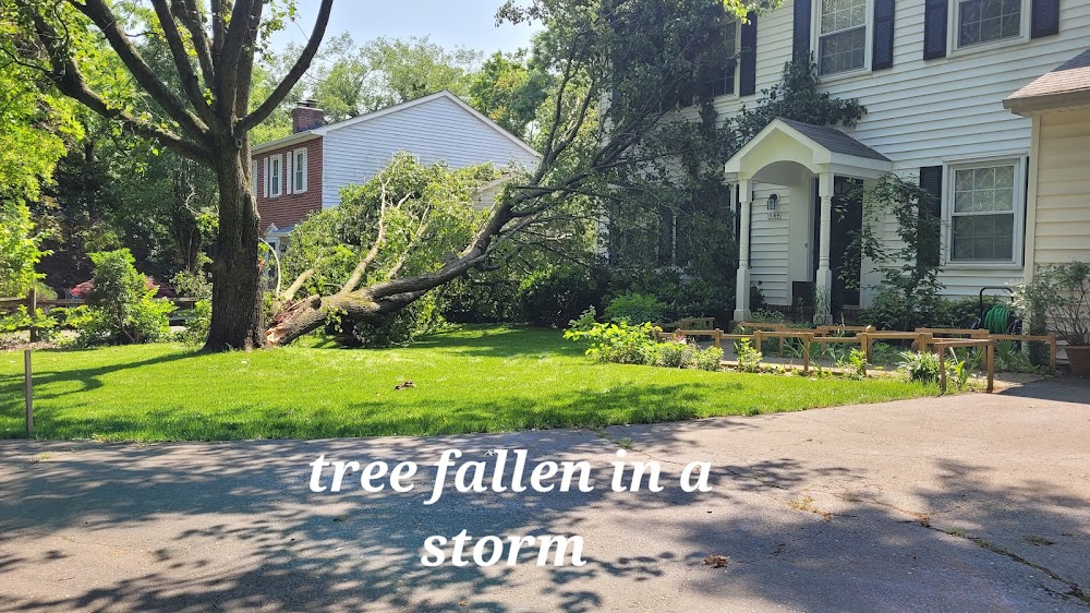 H&S Brothers Tree Service