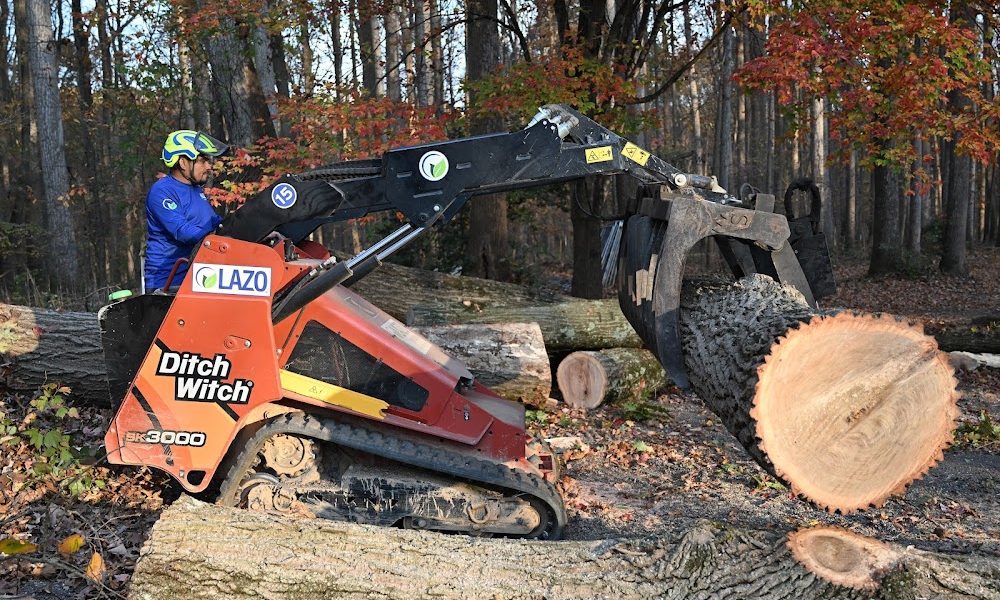 Lazo Tree Service