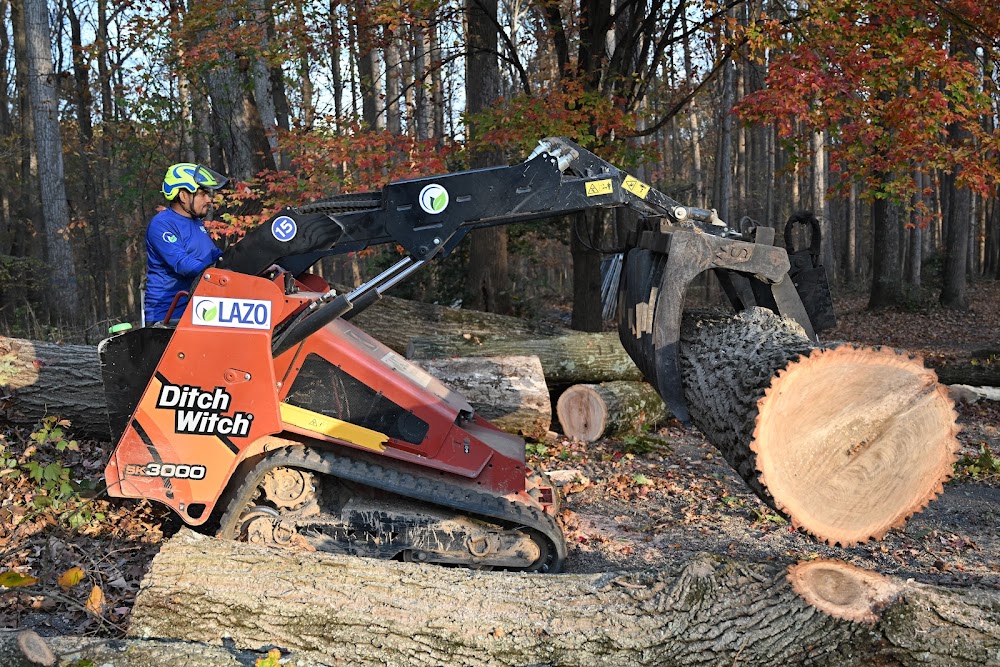 Lazo Tree Service