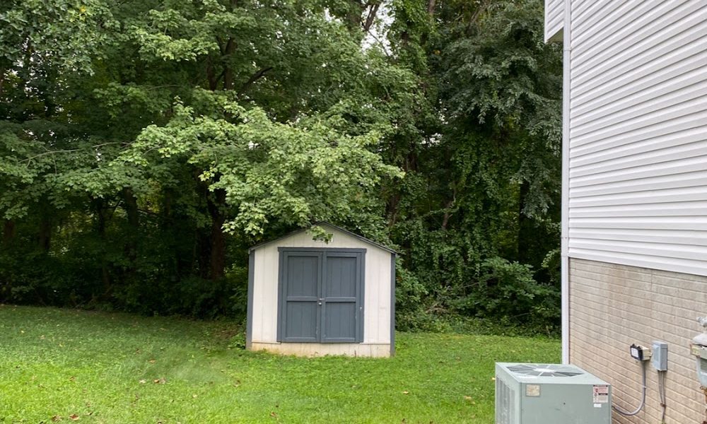 Maryland Tree Care