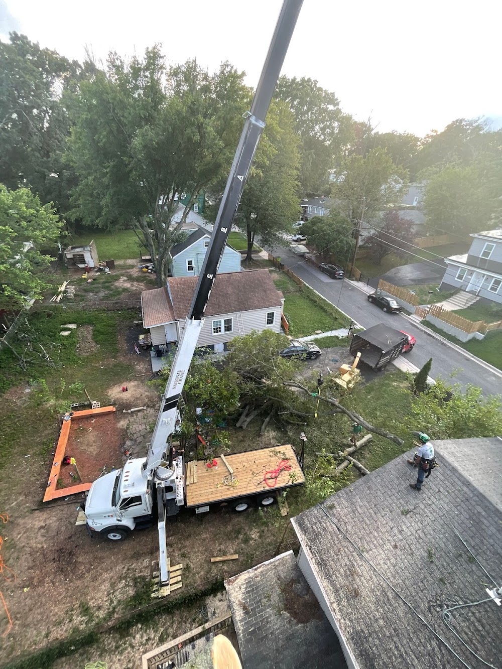 Matias Tree Service