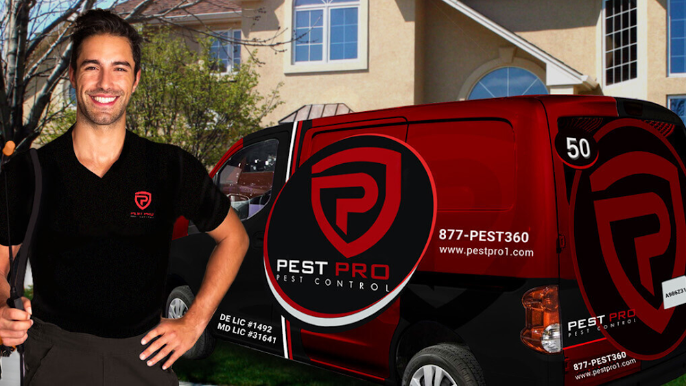PEST PRO