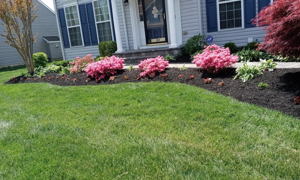 Reynaldo Perez Landscaping
