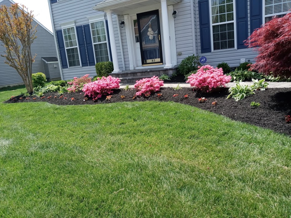 Reynaldo Perez Landscaping