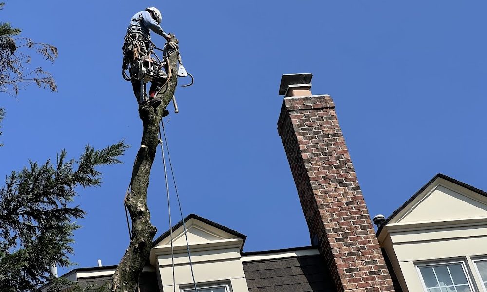Richard’s Tree Service