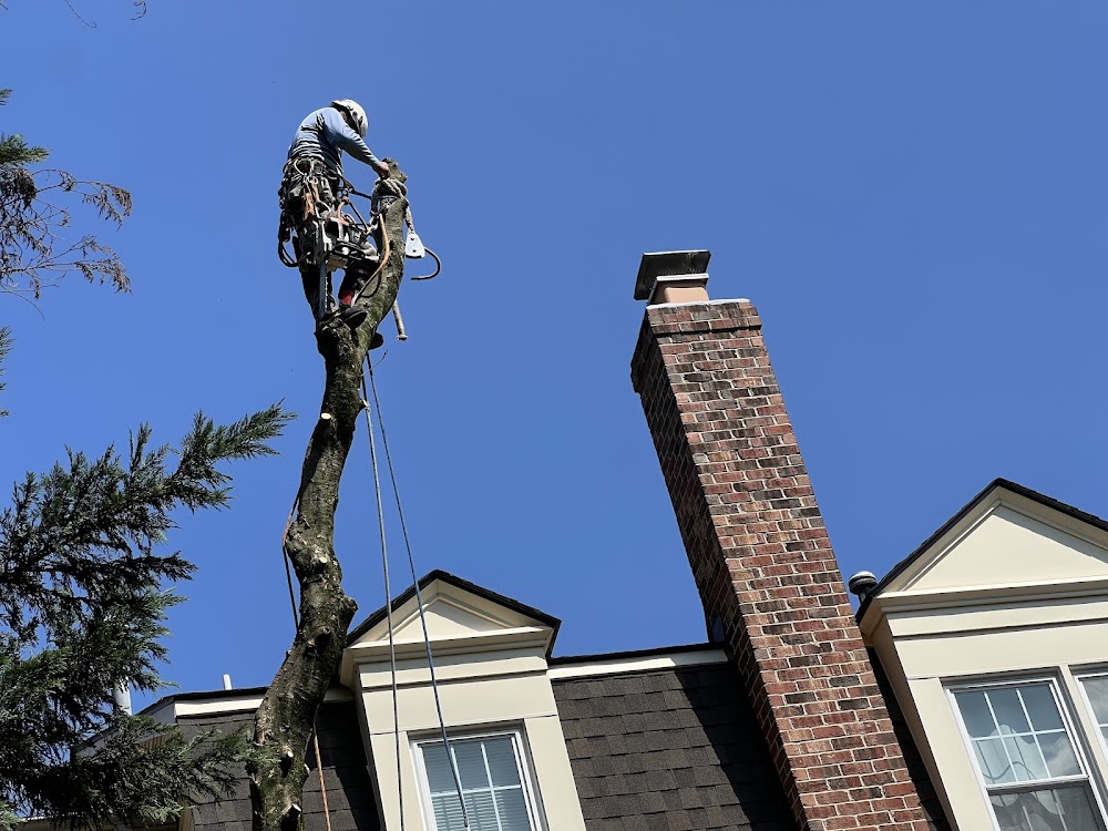 Richard’s Tree Service