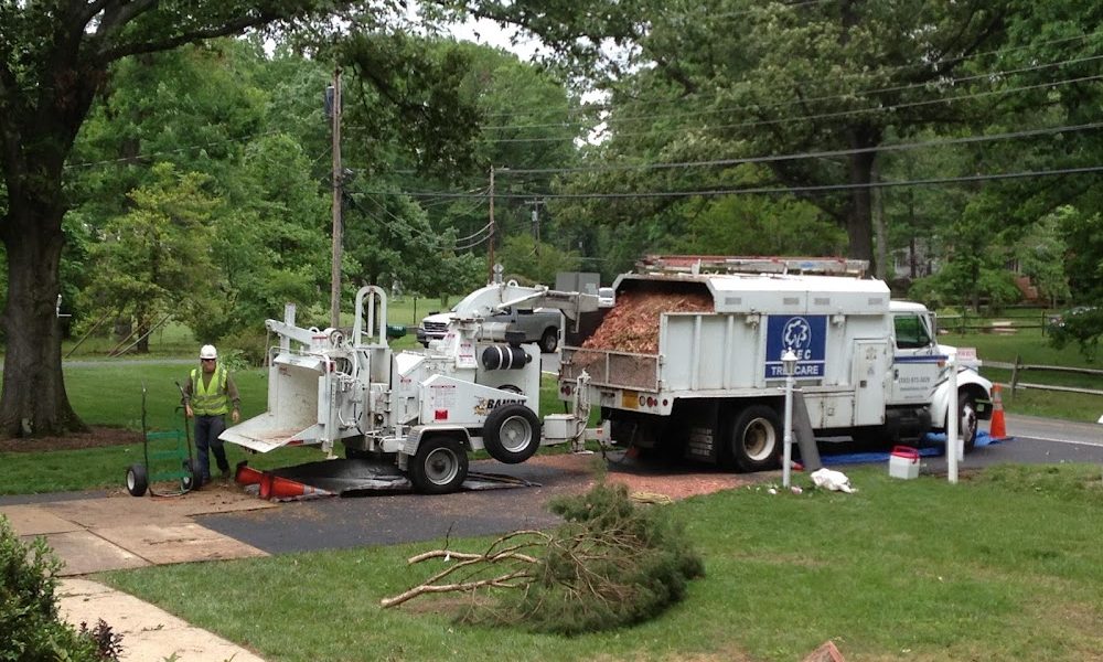 RTEC Treecare