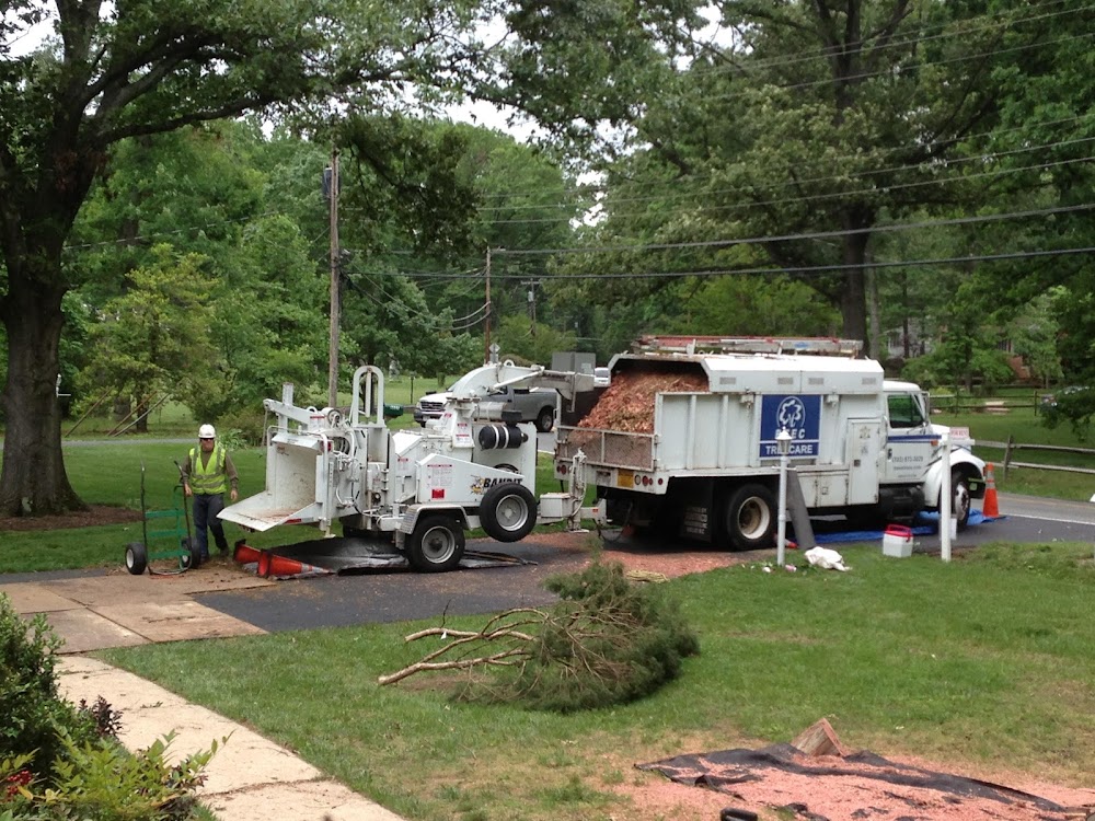 RTEC Treecare