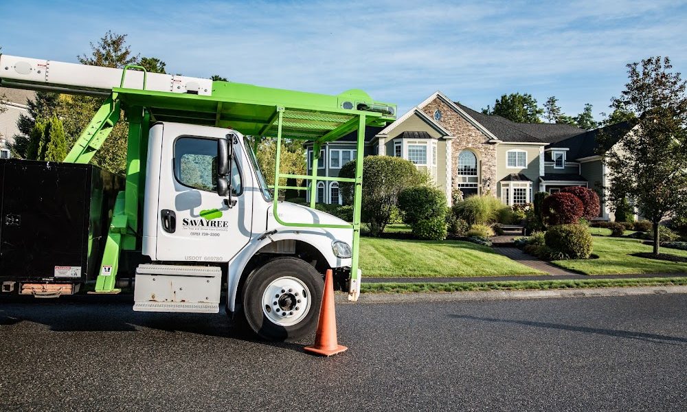 SavATree – Tree Service & Lawn Care