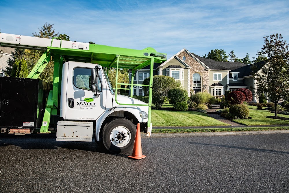 SavATree – Tree Service & Lawn Care