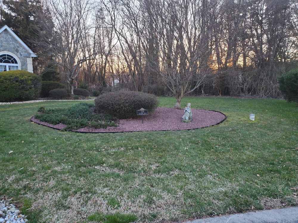 Spady’s Landscaping