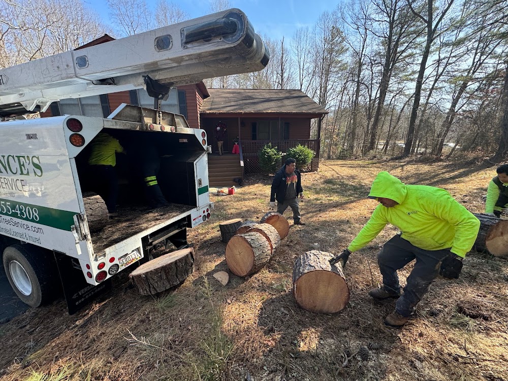 Spence’s Tree Service