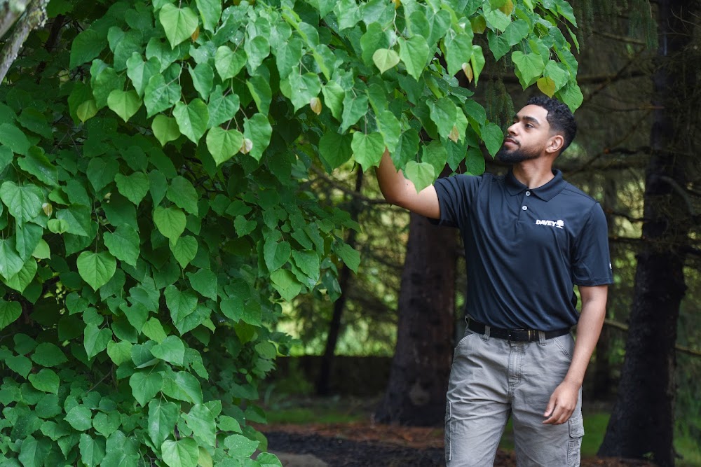 The Davey Tree Expert Company