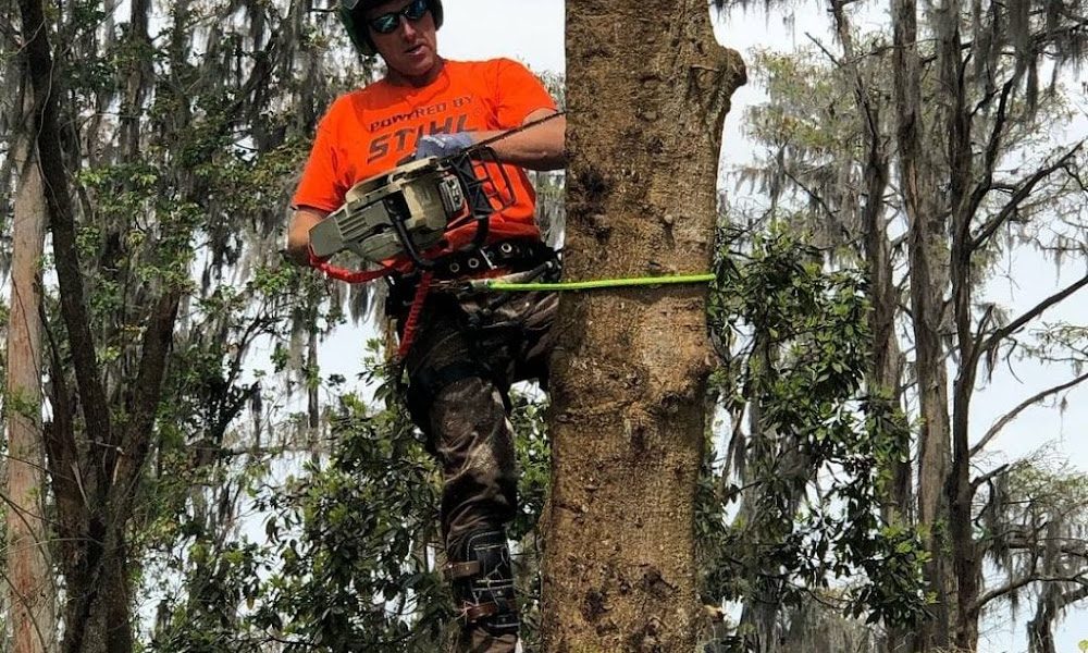 The Heart of Wood Tree Service