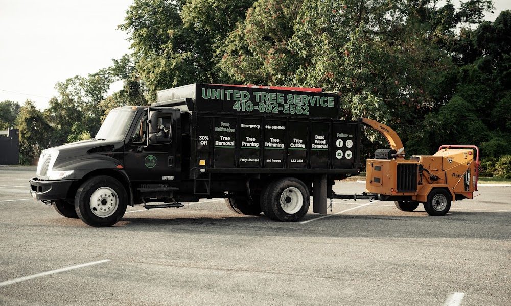 United Tree Service, LLC