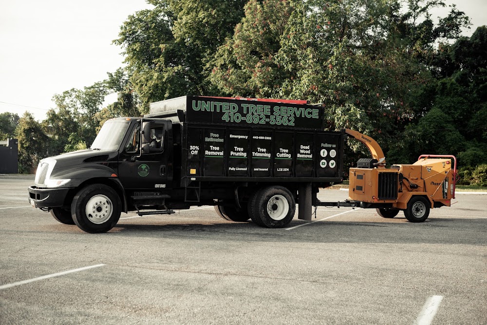 United Tree Service, LLC