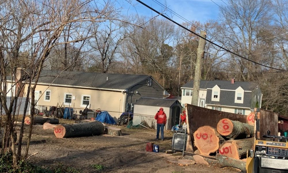 Unlimbited Tree Service, Inc.
