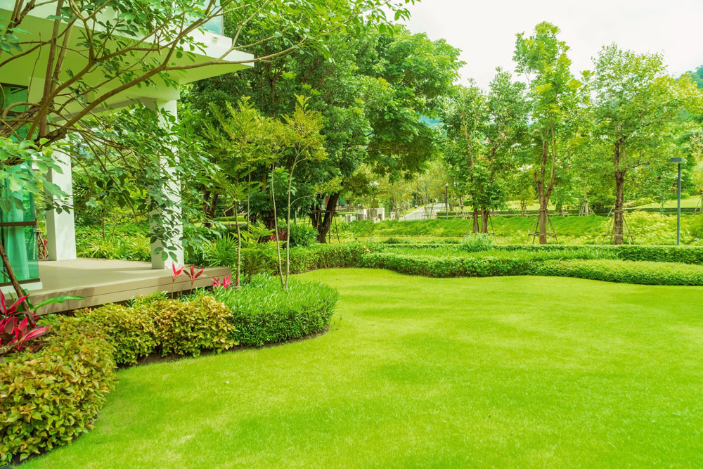Aesthetic Turf Solutions