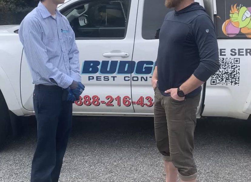 Budget Pest Control, Inc.