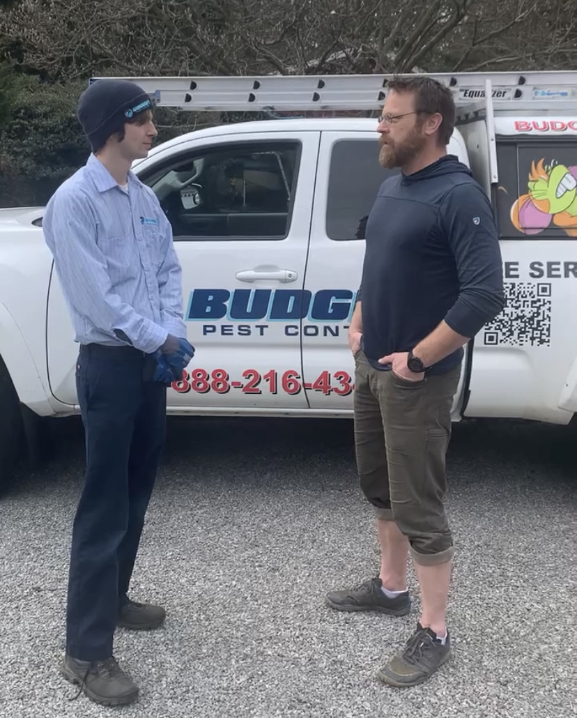 Budget Pest Control, Inc.