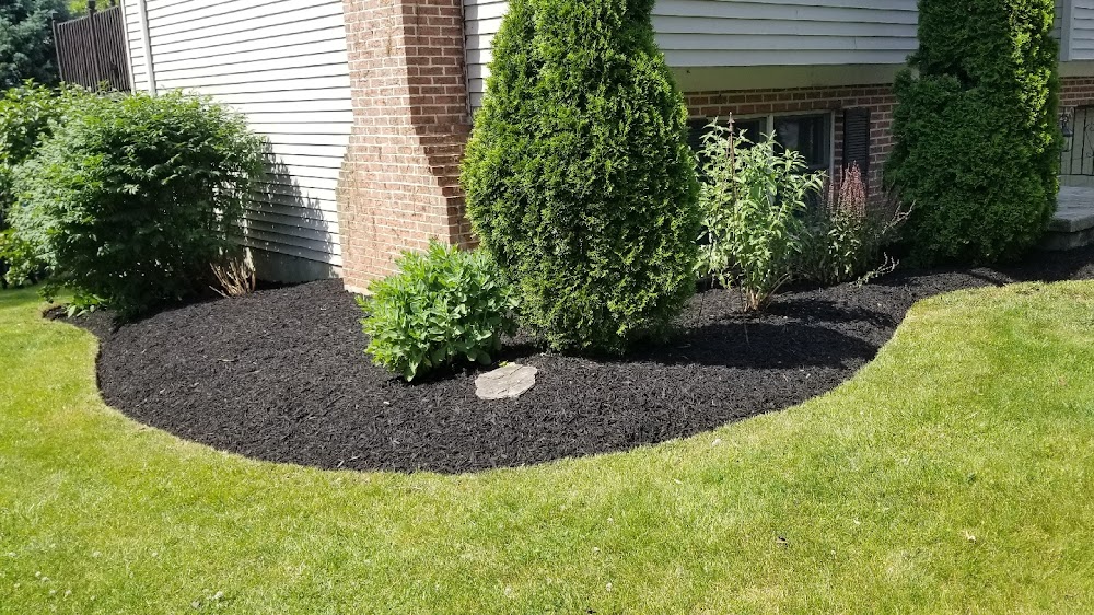CASTILLO’S LANDSCAPING