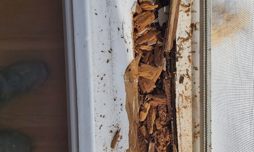 CT Handyman Services