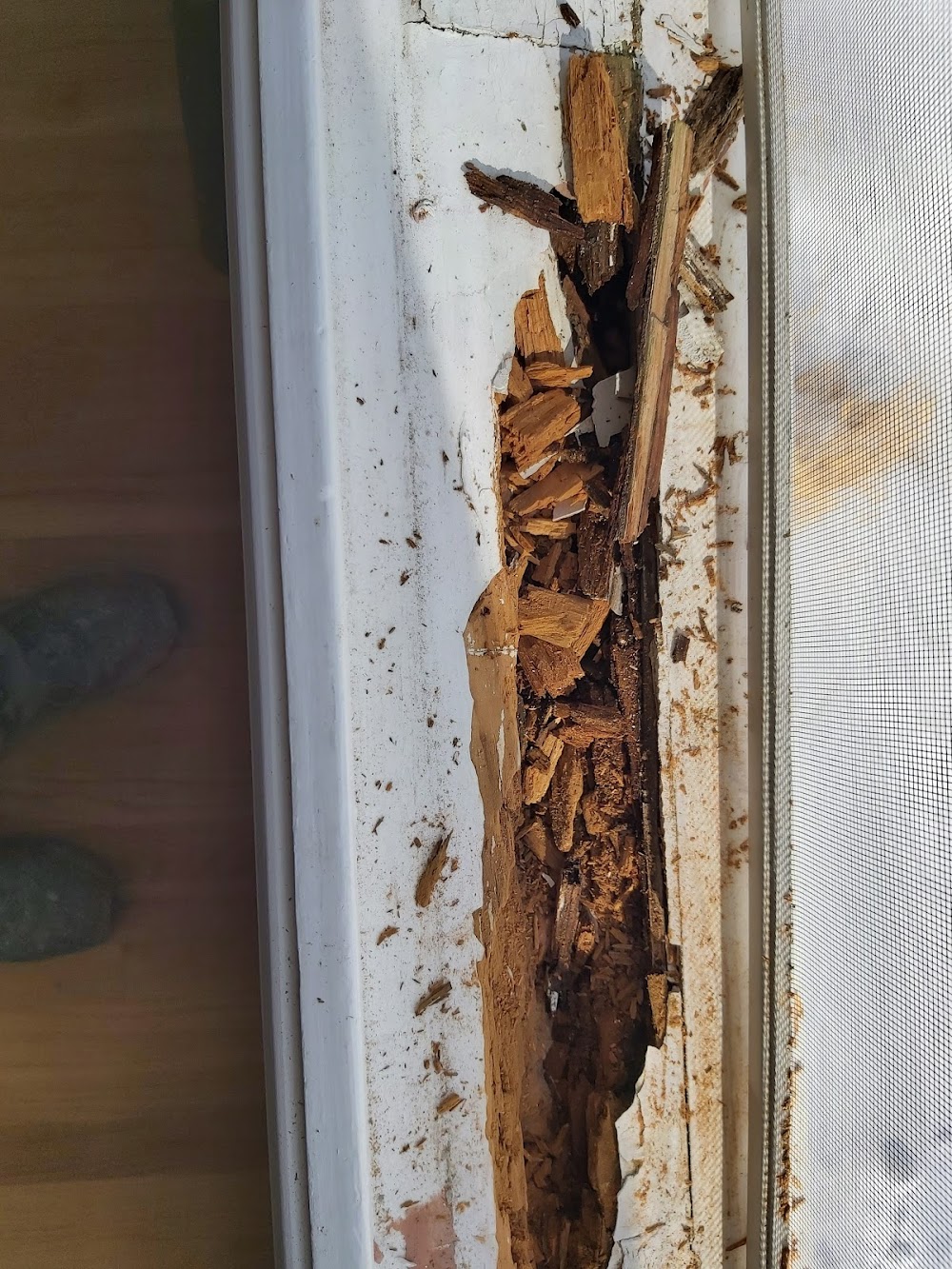 CT Handyman Services