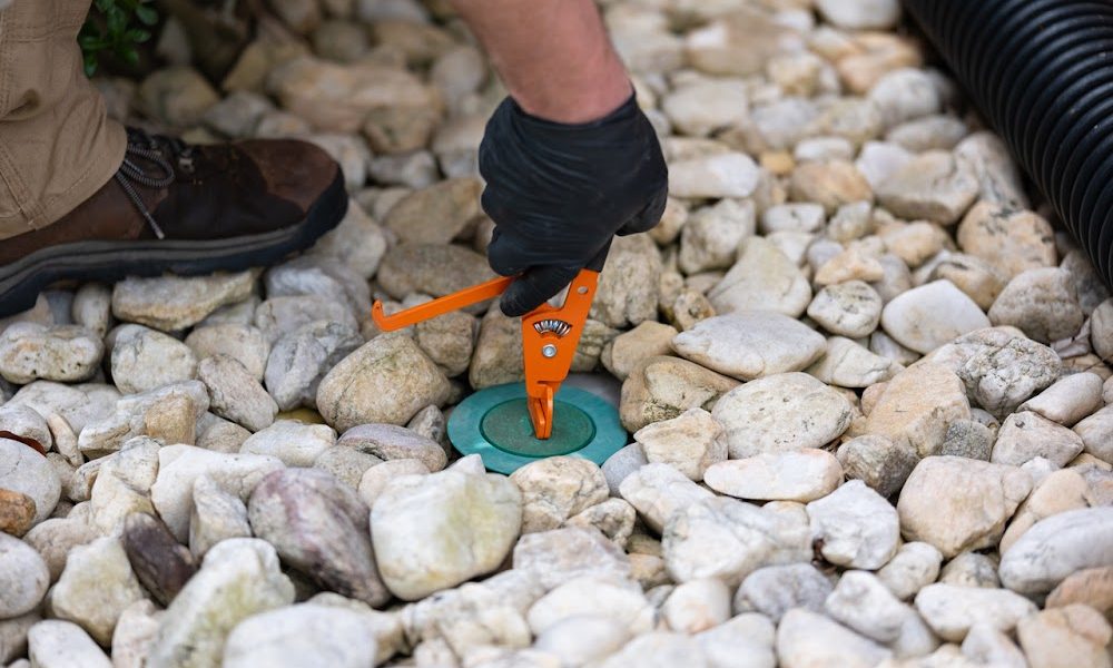 D-Bug Pest Control, Inc.