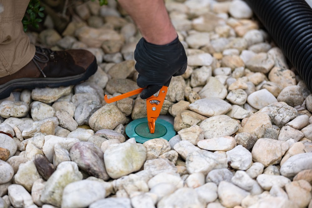 D-Bug Pest Control, Inc.