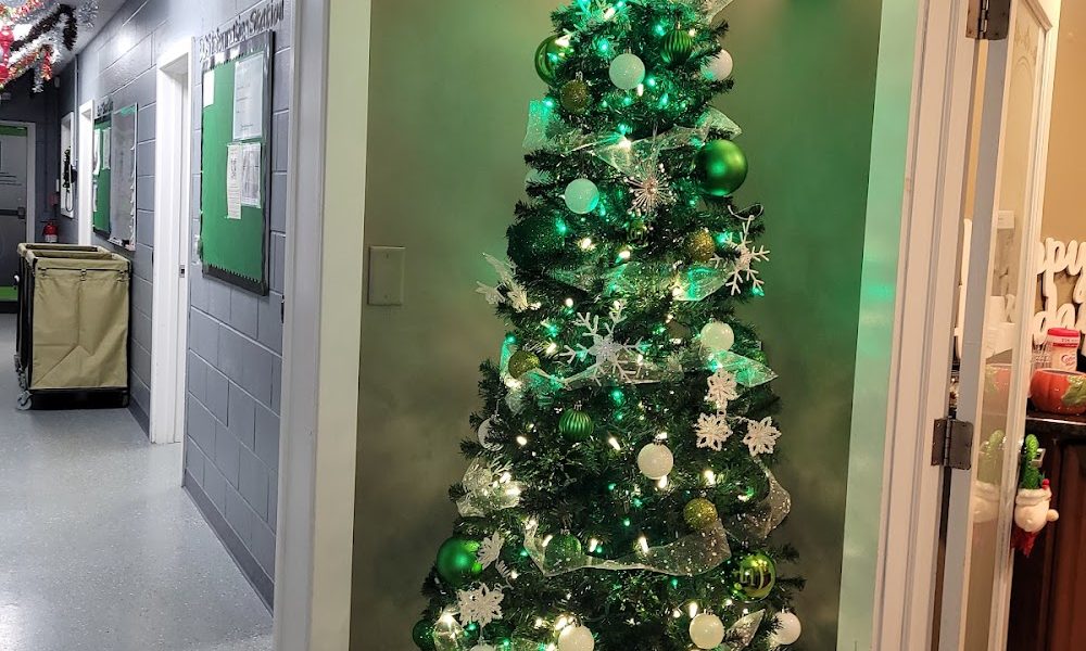 David’s Cleaning Service