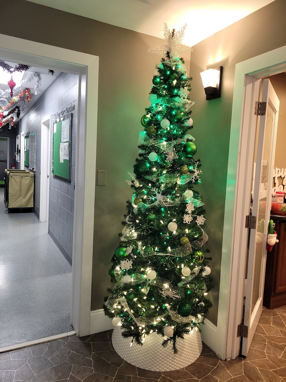 David’s Cleaning Service